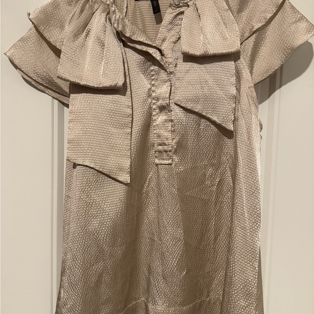 BCBGMaxAzria Shimmering Champagne Blouse